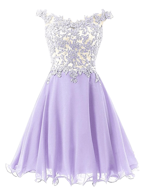 Elegant Lace Homecoming Dress