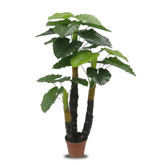 Philo Real Touch Plant with PU Stick