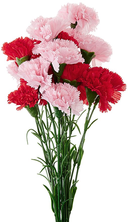 Fourwalls Single Carnation (Set of 15, Red and Light Pink)