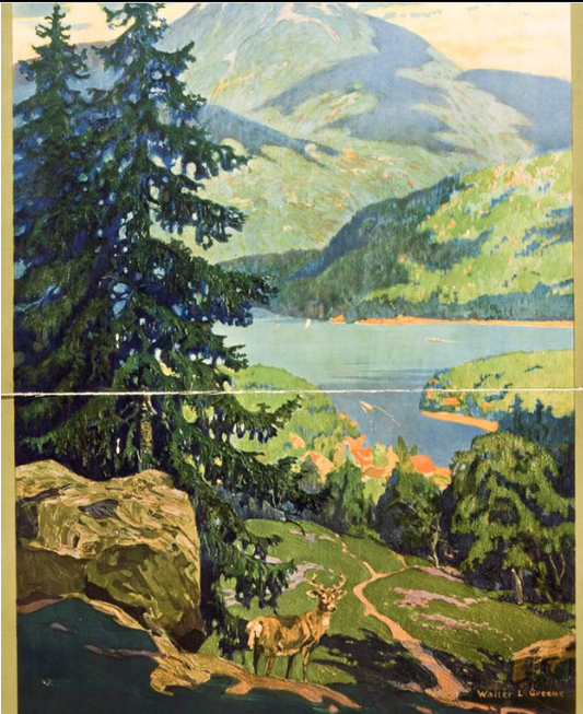 Vintage Poster - Adirondack Mountains, Lake Placid New York Central Lines, Historic Wall Art